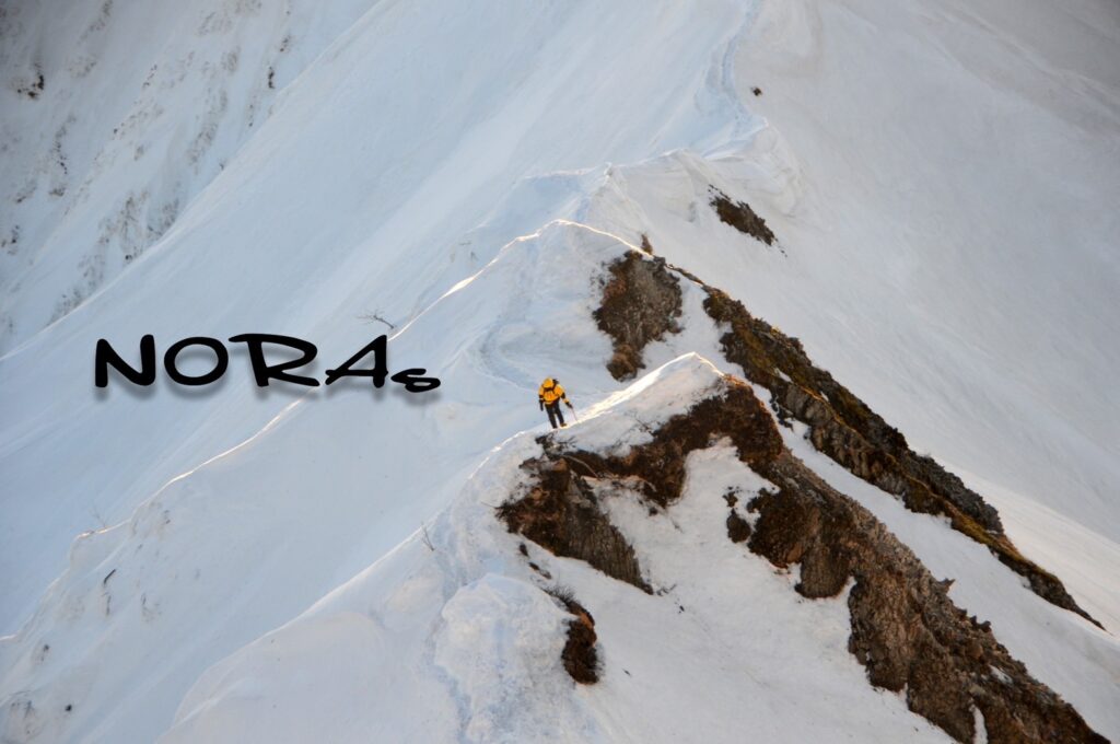 NORAs
